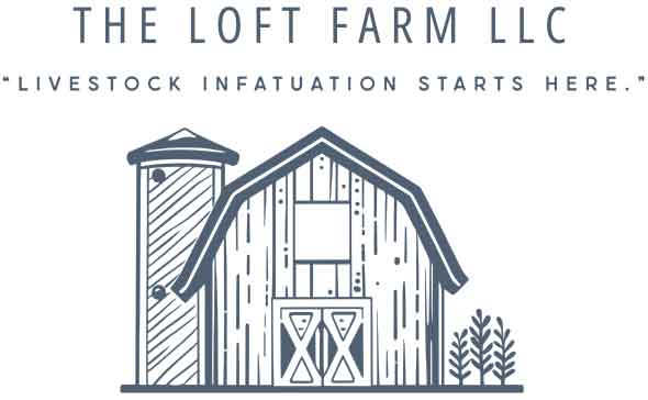 The Loft Farm