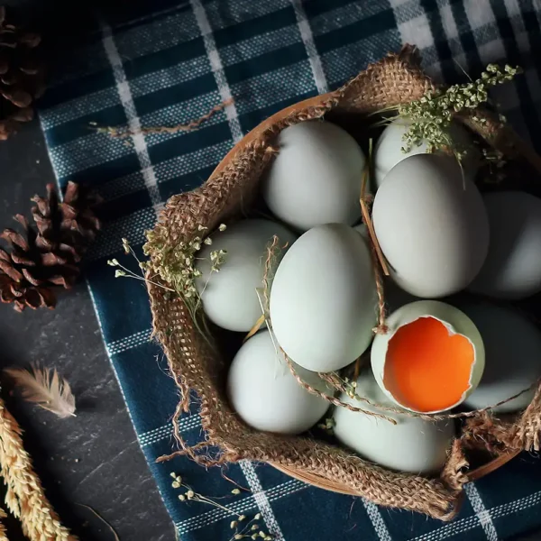 Duck Eggs